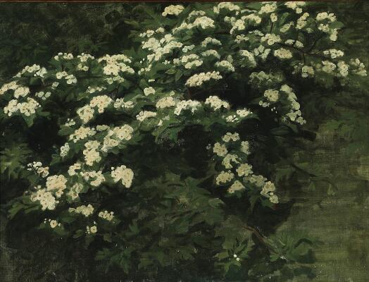 1. billede ud af i alt 3