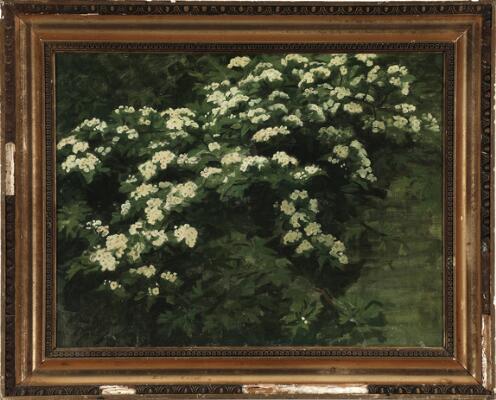 2. billede ud af i alt 3