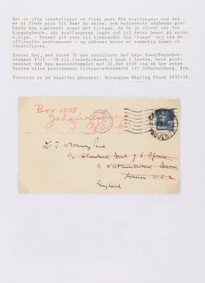 17. billede ud af i alt 46