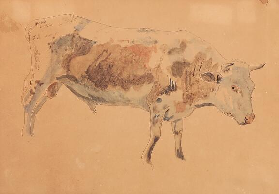 1. billede ud af i alt 3