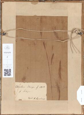 3. billede ud af i alt 3