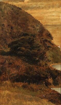 1. billede ud af i alt 3