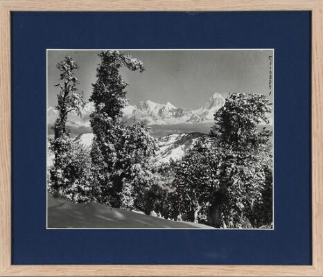 1. billede ud af i alt 2