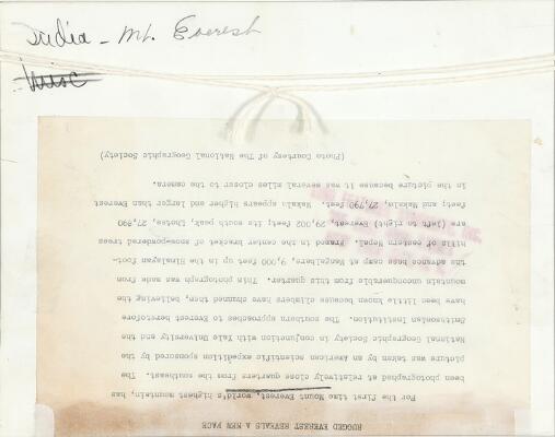 2. billede ud af i alt 2