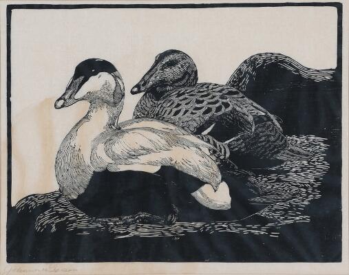 1. billede ud af i alt 3