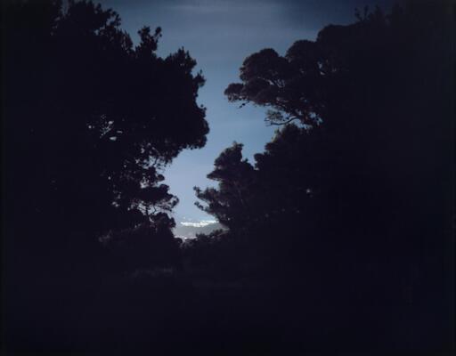 1. billede ud af i alt 3