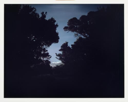 2. billede ud af i alt 3