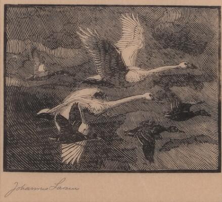 1. billede ud af i alt 2