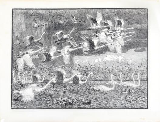 First and only image