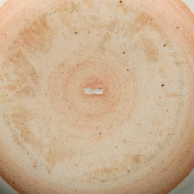 5. billede ud af i alt 7