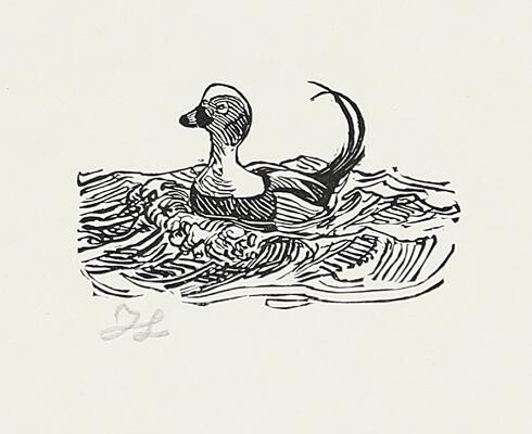 1. billede ud af i alt 2