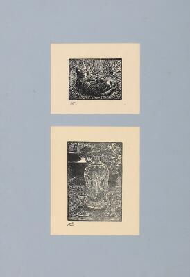 1. billede ud af i alt 3