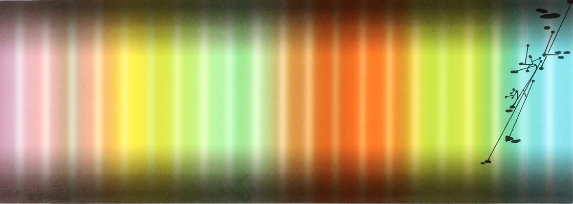 Første og eneste billede af emnet