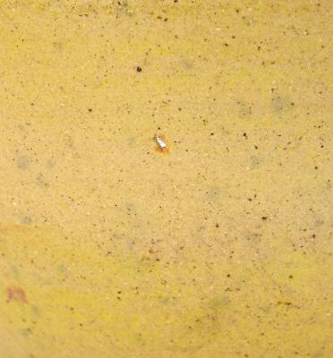 2. billede ud af i alt 7