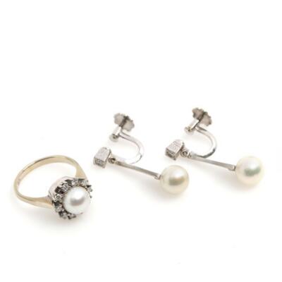 1. billede ud af i alt 3