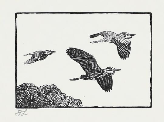 1. billede ud af i alt 2