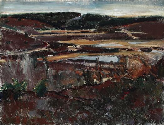 1. billede ud af i alt 3