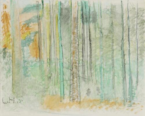 1. billede ud af i alt 3