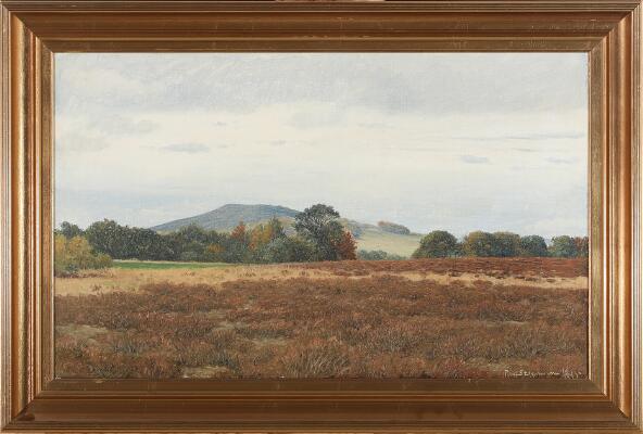 2. billede ud af i alt 3