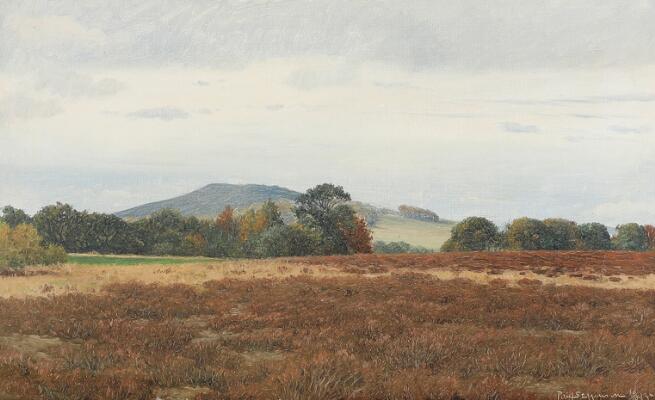 1. billede ud af i alt 3