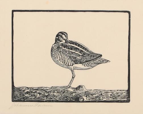 1. billede ud af i alt 3