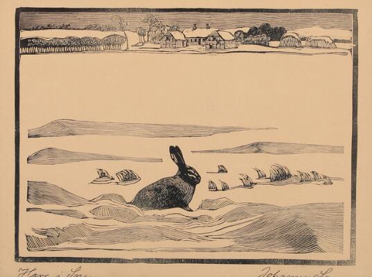 1. billede ud af i alt 5