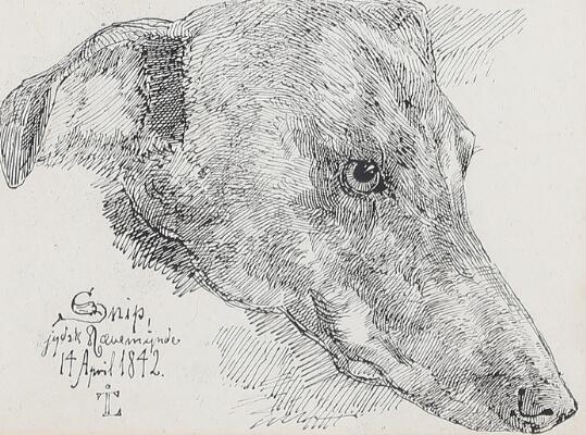 1. billede ud af i alt 2