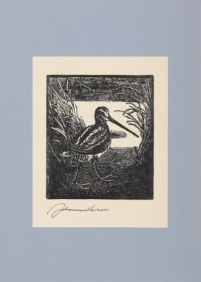 1. billede ud af i alt 2