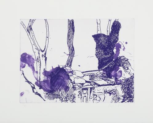 Første og eneste billede af emnet