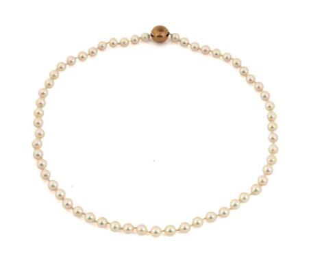 1. billede ud af i alt 3