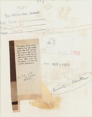 2. billede ud af i alt 2