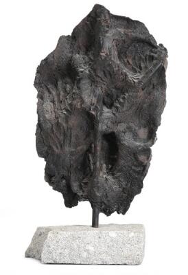 4. billede ud af i alt 5