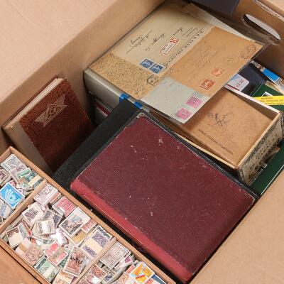 10. billede ud af i alt 11