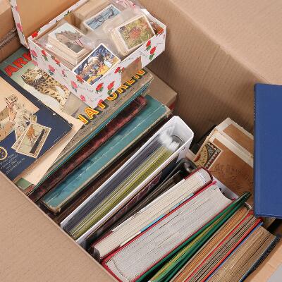 9. billede ud af i alt 10