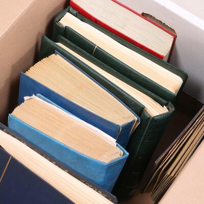 Første og eneste billede af emnet