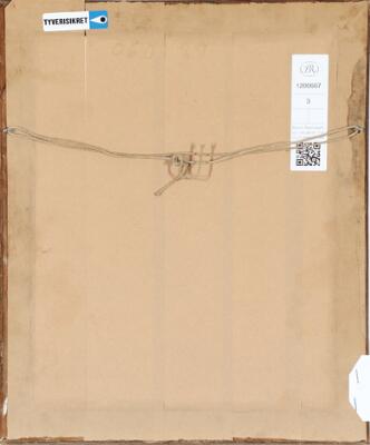 3. billede ud af i alt 3