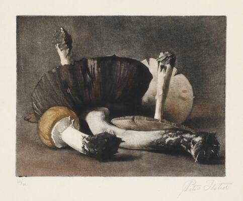 1. billede ud af i alt 3