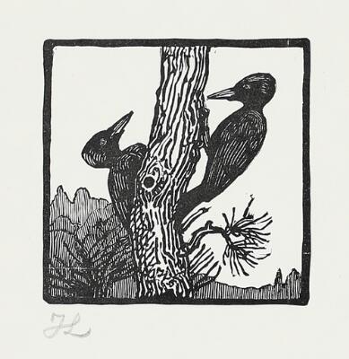 1. billede ud af i alt 2