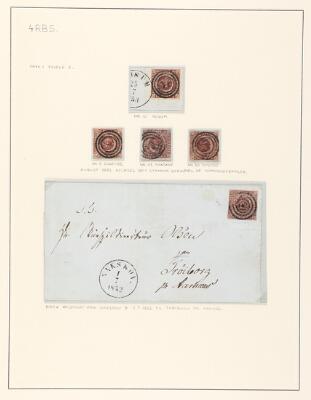 7. billede ud af i alt 13