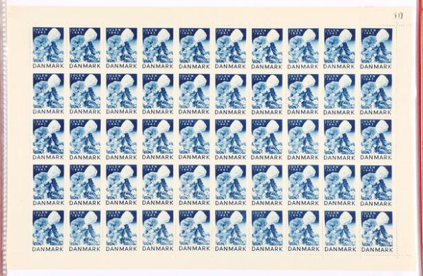 7. billede ud af i alt 13