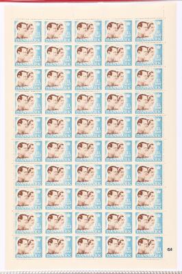 11. billede ud af i alt 13