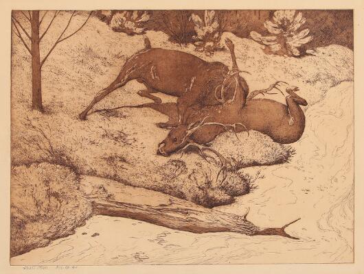 1. billede ud af i alt 3