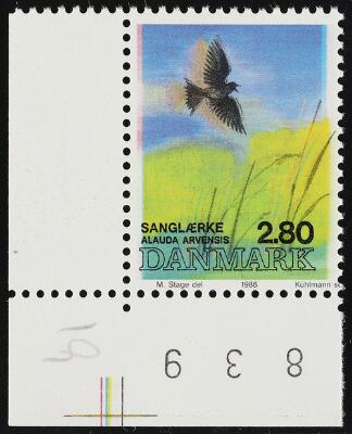 Første og eneste billede af emnet