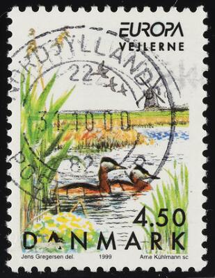 First and only image