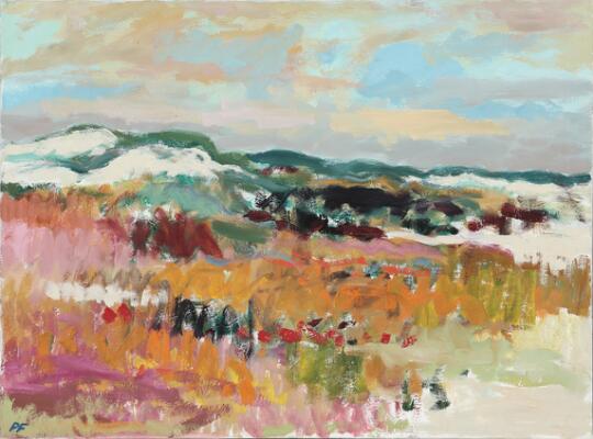 1. billede ud af i alt 3