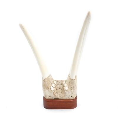 2. billede ud af i alt 3