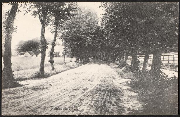 2. billede ud af i alt 2