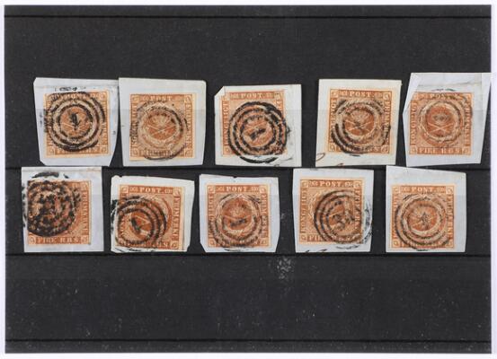 Første og eneste billede af emnet