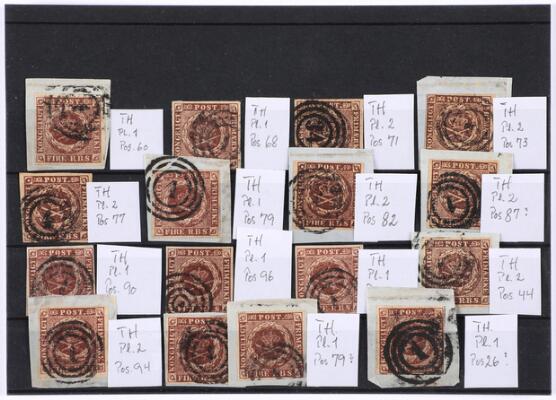 Første og eneste billede af emnet