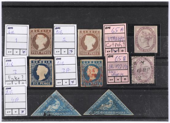 Første og eneste billede af emnet